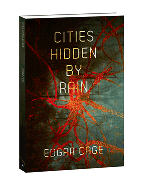 cities hidden by rain